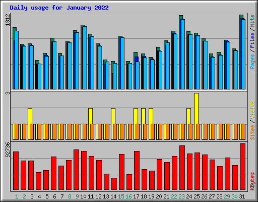 Daily usage for January 2022