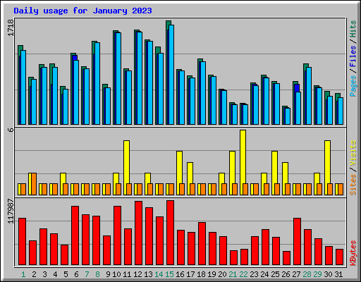 Daily usage for January 2023