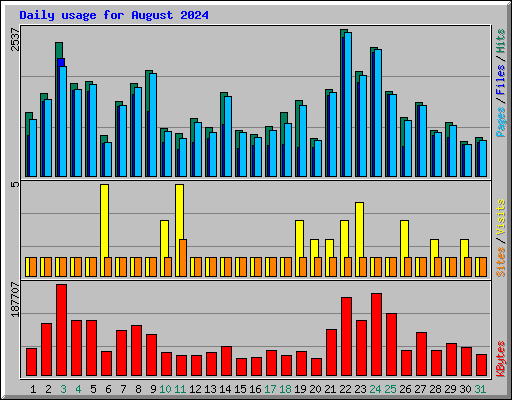 Daily usage for August 2024