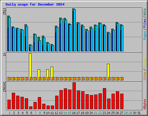 Daily usage for December 2024