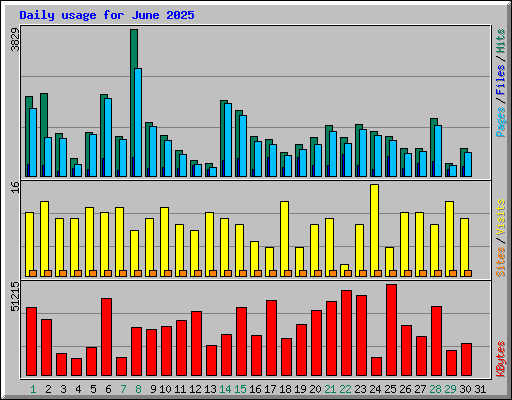 Daily usage for June 2025