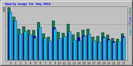 Hourly usage for May 2019