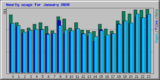 Hourly usage for January 2020