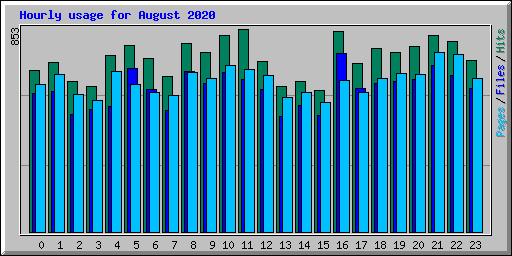 Hourly usage for August 2020