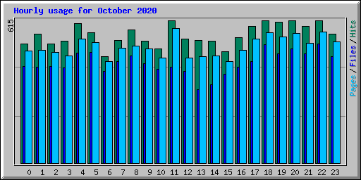 Hourly usage for October 2020