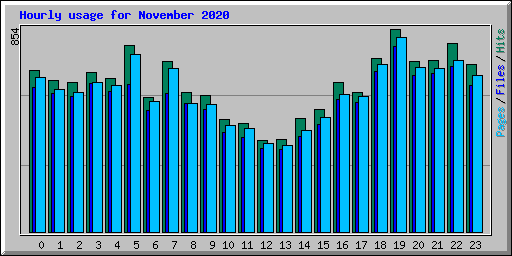 Hourly usage for November 2020