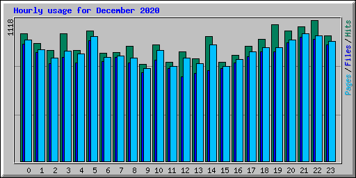 Hourly usage for December 2020