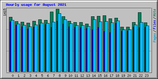 Hourly usage for August 2021