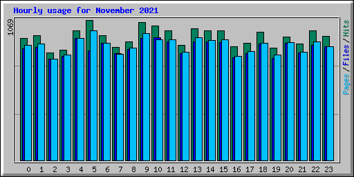 Hourly usage for November 2021