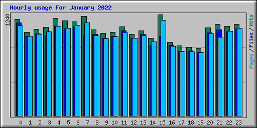 Hourly usage for January 2022