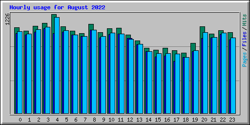 Hourly usage for August 2022