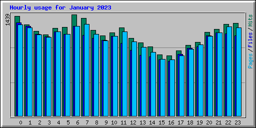 Hourly usage for January 2023