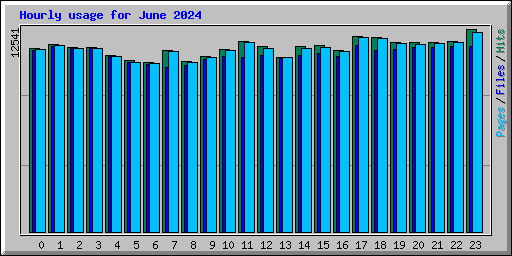 Hourly usage for June 2024