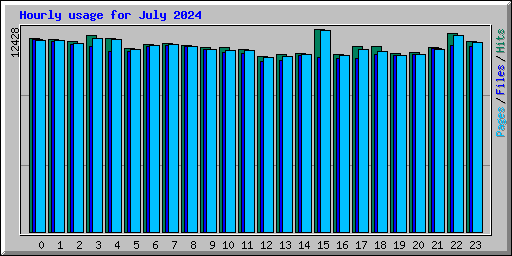 Hourly usage for July 2024