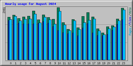 Hourly usage for August 2024