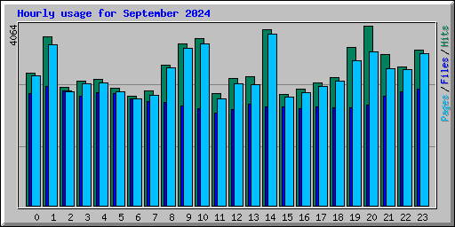 Hourly usage for September 2024