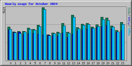 Hourly usage for October 2024