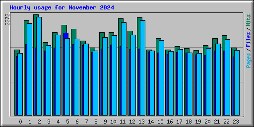 Hourly usage for November 2024