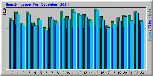 Hourly usage for December 2024