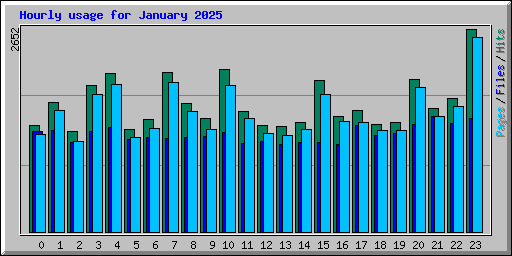 Hourly usage for January 2025