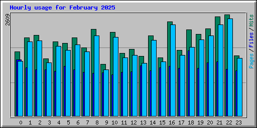 Hourly usage for February 2025