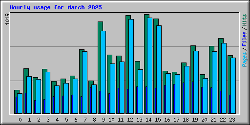 Hourly usage for March 2025