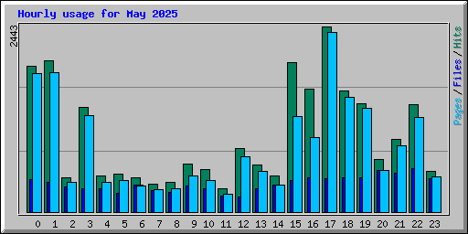 Hourly usage for May 2025