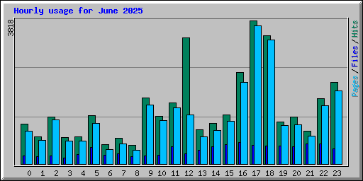 Hourly usage for June 2025