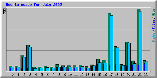 Hourly usage for July 2025