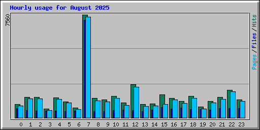 Hourly usage for August 2025