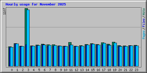 Hourly usage for November 2025
