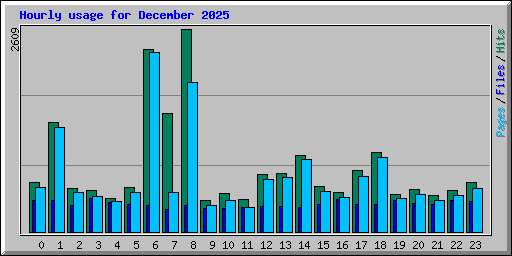 Hourly usage for December 2025