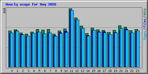 Hourly usage for May 2026