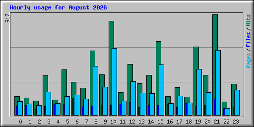 Hourly usage for August 2026